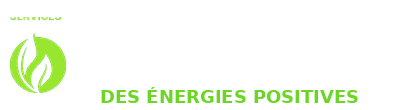 ECO ENERGY SERVICES